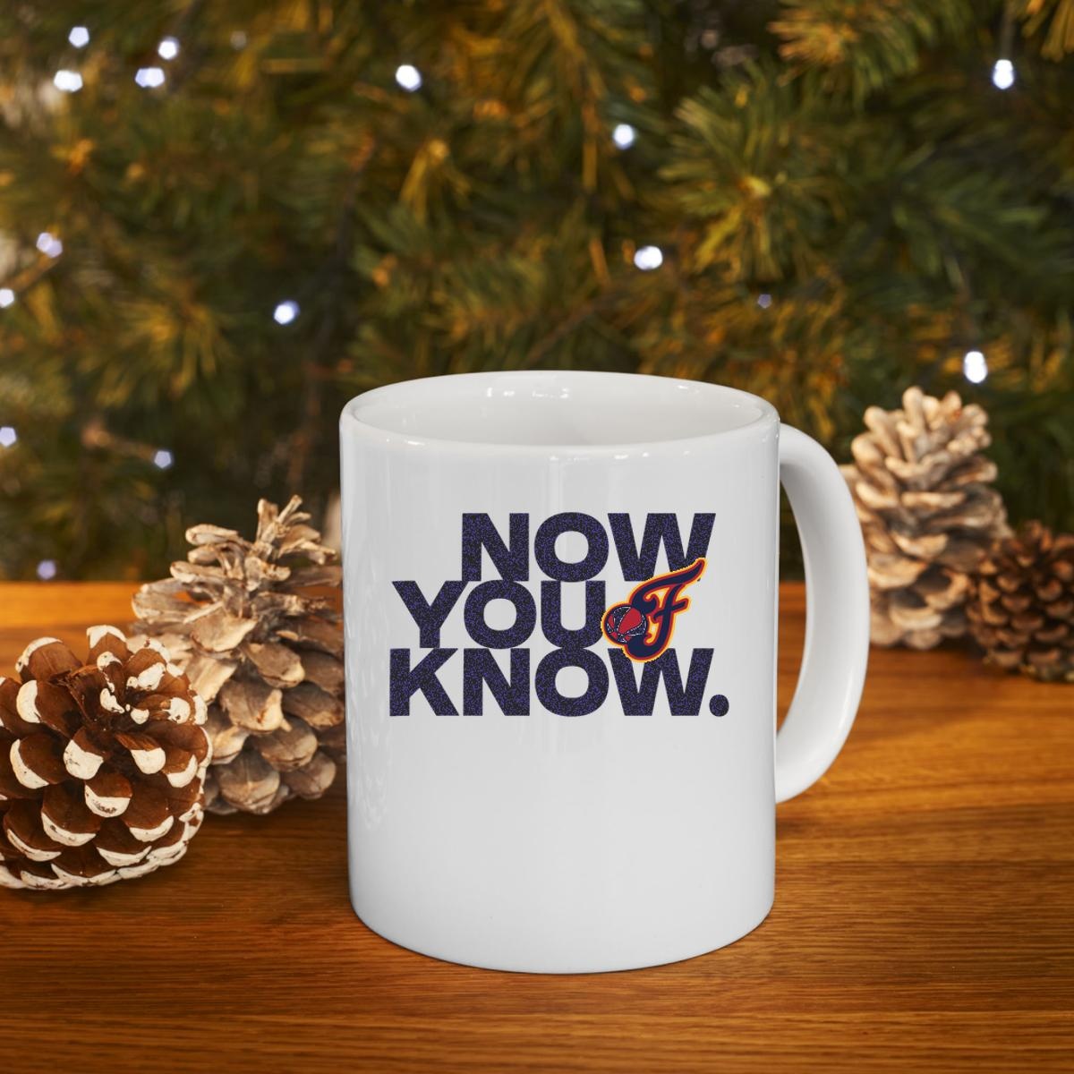 Now You Know Indiana Fever 2025 Mug 4